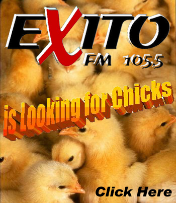 Exito is Looking for Chicks