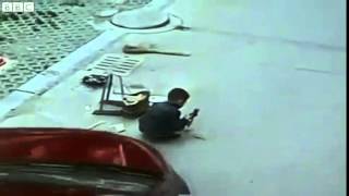 Chinese Boy Survives After Car Runs Over Him!