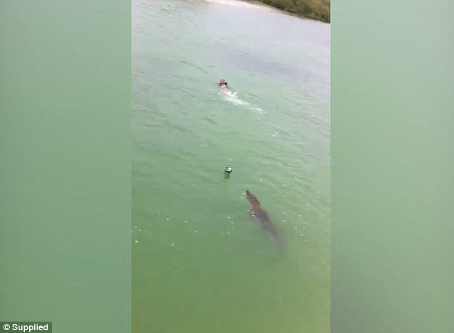 Crocodile chases little boy in Mexico river!