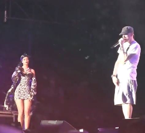 Eminem Surprises Lollapalooza Crowd with Special Guest Rihanna!
