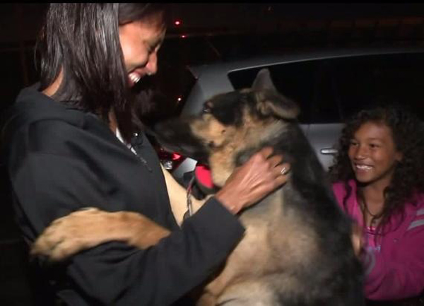 Family reunites with missing German Shepherd after 3 years