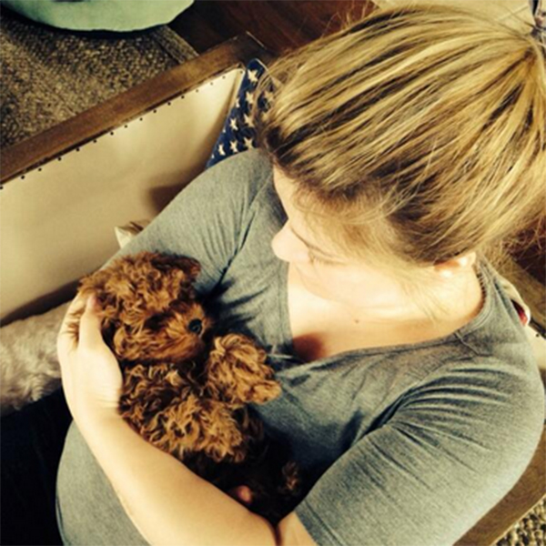 PHOTOS: Kelly Clarkson gets new puppy!