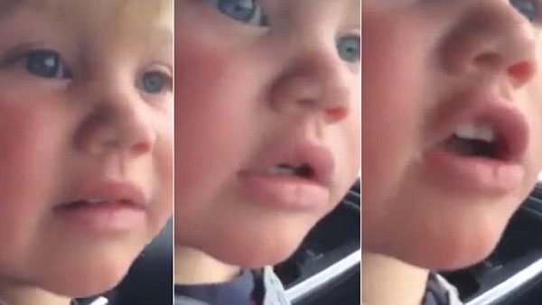 VIDEO: 2-Year-Old is NOT FEELIN' this MONKEY on his CAR! NSFW
