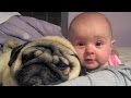 WATCH: Babies Best Friend!