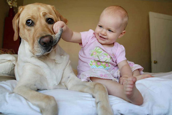 WATCH: Baby and Dog Share a Special Bond!