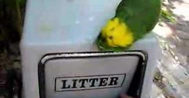 WATCH: Litter Laughter!