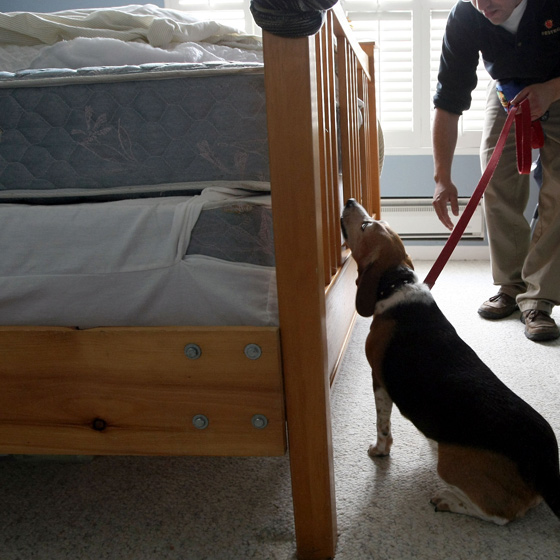 Woman finds bedbug-ridden old mattress inside new mattress