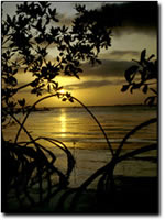 Photo courtesy of: Monroe County Tourist Development Council