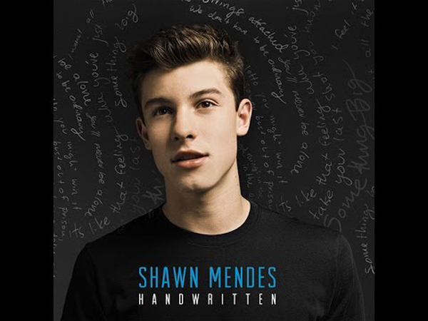 Download or Delete? Shawn Mendez - "Stitches"