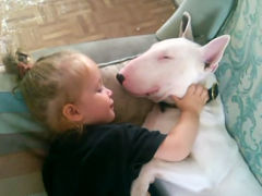 WATCH Little Girl Tries To Nap WIth Her Lazy Dog