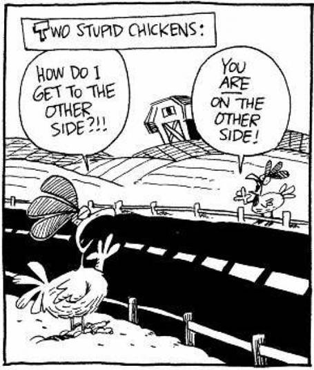 Why did the chicken cross the road?